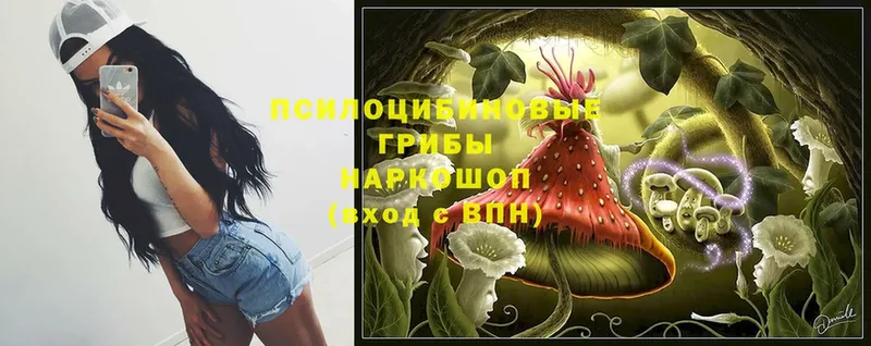 omg маркетплейс  Белая Калитва  Галлюциногенные грибы Psilocybine cubensis  наркошоп 